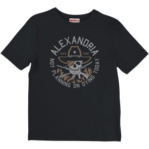 The Walking Dead Alexandria Safe Zone T Shirt